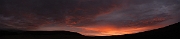 David Plant Photography - Wildlife Photography - Powys - A
